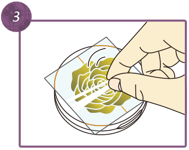 Please press and rub strongly with fingers over the pattern